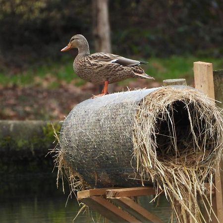 Maison D'Hotes En Pleine Nature Avec Chevaux Soucht Екстер'єр фото