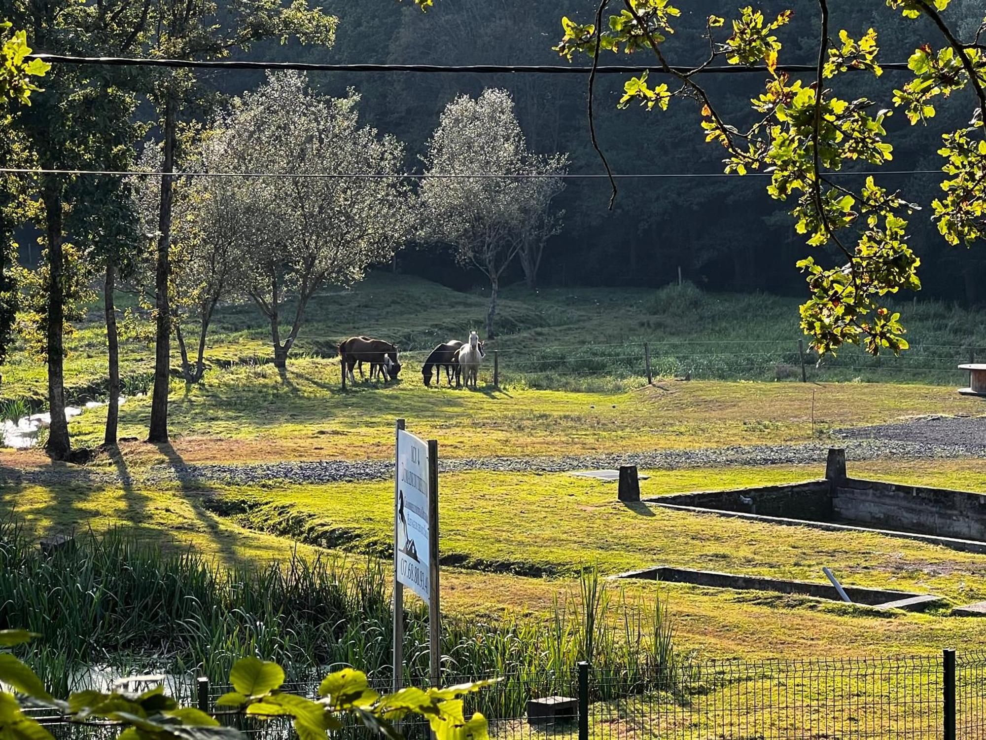 Maison D'Hotes En Pleine Nature Avec Chevaux Soucht Екстер'єр фото